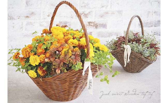 �ڻ��ߡ�PP�饿��Х����åȡ�L������