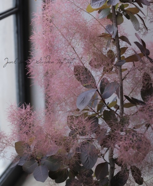 ⡼ĥ꡼إ쥤 135