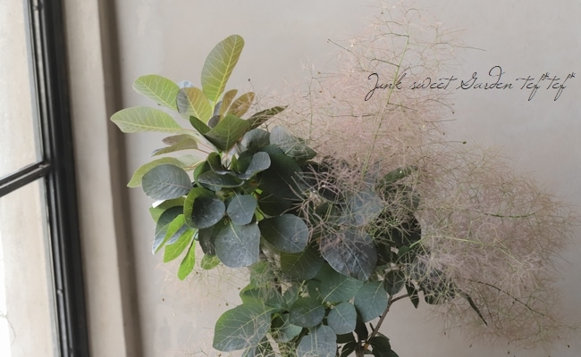 ⡼ĥ꡼إ쥤 135
