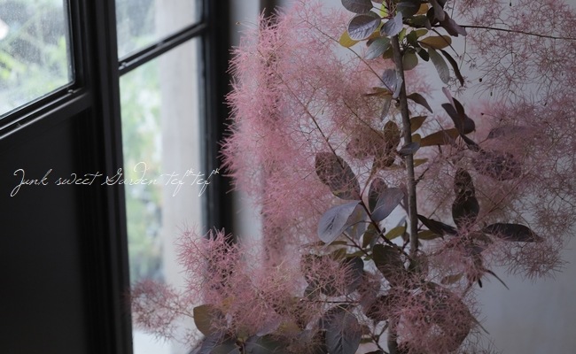⡼ĥ꡼إ쥤 135