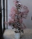 ⡼ĥ꡼إ쥤 135