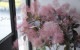 ⡼ĥ꡼إ쥤 135