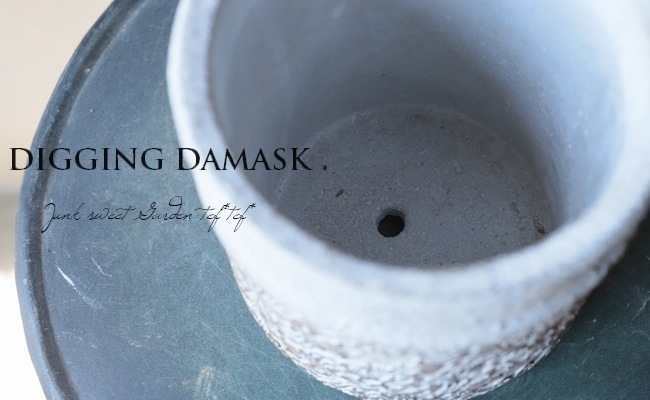 �ڻ��ߡ� �ǥ�����󥰡����ޥ����ȡ���ݥå�