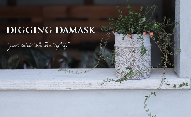 �ڻ��ߡ� �ǥ�����󥰡����ޥ����ȡ���ݥå�