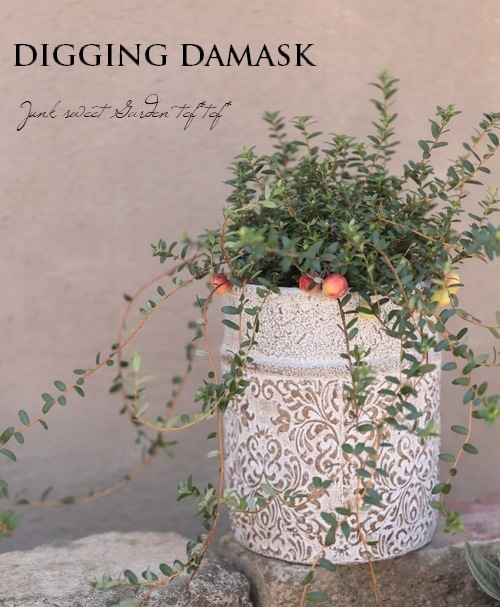 �ڻ��ߡ� �ǥ�����󥰡����ޥ����ȡ���ݥå�