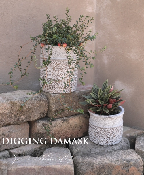 雑貨】 ディグリング・ダマスクトールポット | 鉢・テラコッタ