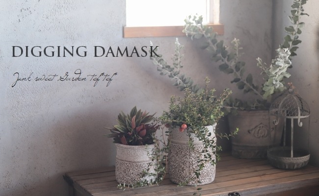 �ڻ��ߡ� �ǥ�����󥰡����ޥ����ȡ���ݥå�