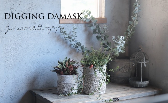 �ڻ��ߡ� �ǥ�����󥰡����ޥ����ȡ���ݥå�