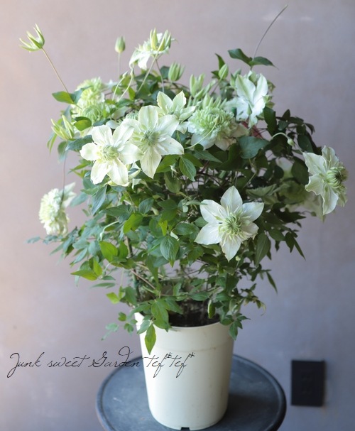 ����ޥ����������š١��إ���С��֥�ʡ�