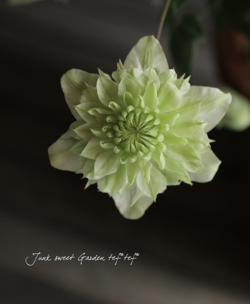 ����ޥ����������š١��إ���С��֥�ʡ�