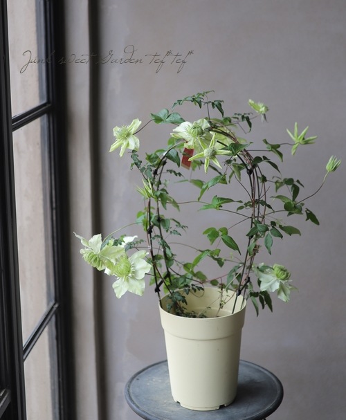 ����ޥ����������š١��إ���С��֥�ʡ�