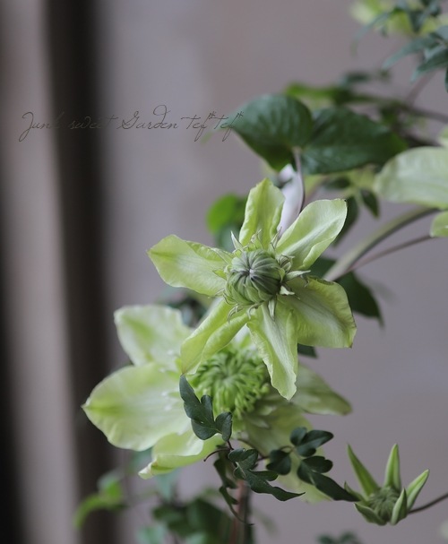 ����ޥ����������š١��إ���С��֥�ʡ�