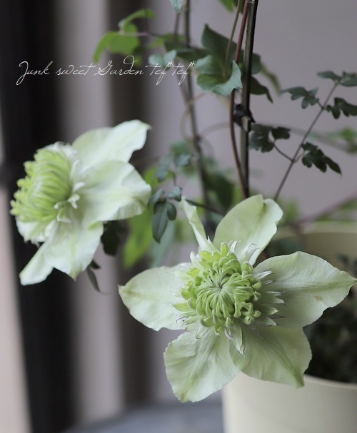 ����ޥ����������š١��إ���С��֥�ʡ�