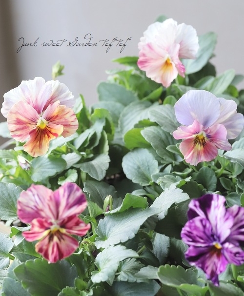 9_000000021558.jpg?1763463490