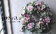 ڴ󤻿 -TEFNIQUE-󤻿꡼ 2024 * no.12 *쥬Ȥʥƥ꡼
