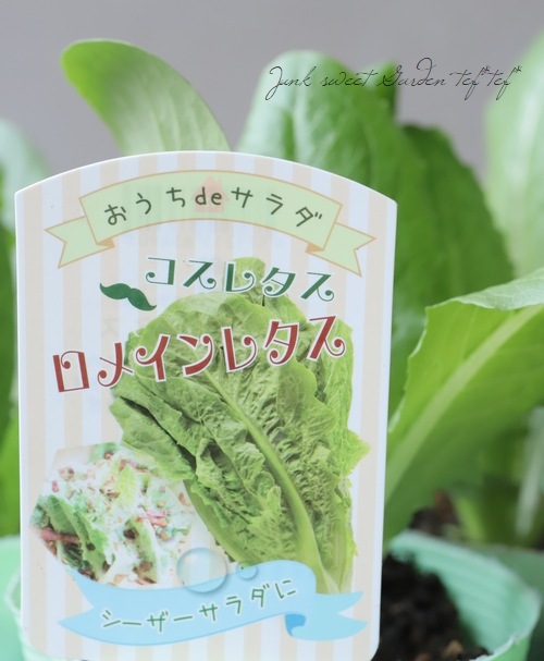 �ڲ����ڱ�� �����쥿�����إ��ᥤ��쥿���� �ץ�󥿡��Ǥ��