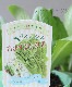 �ڲ����ڱ�� �����쥿�����إ��ᥤ��쥿���� �ץ�󥿡��Ǥ��