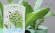 �ڲ����ڱ�� �����쥿�����إ��ᥤ��쥿���� �ץ�󥿡��Ǥ��