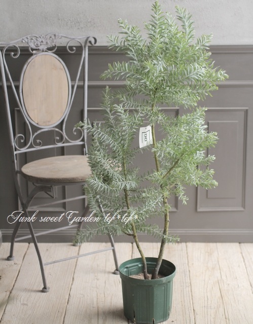 ���ե����������إ֥롼�֥å����