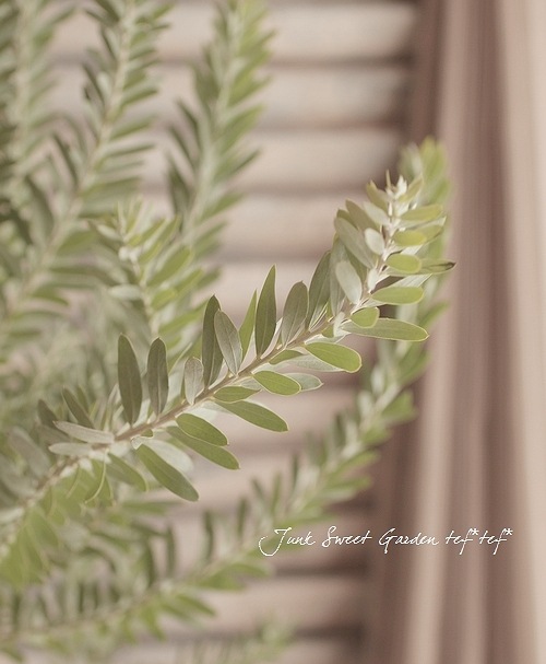 ���ե����������إ֥롼�֥å����