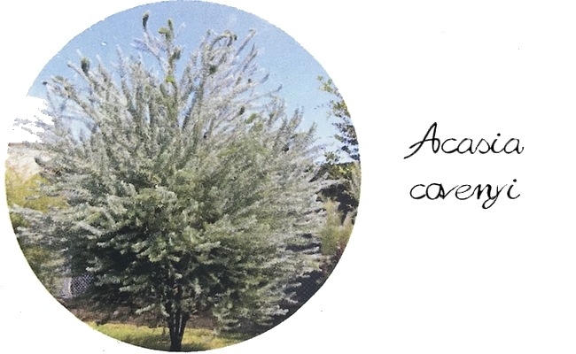 ���ե����������إ֥롼�֥å����