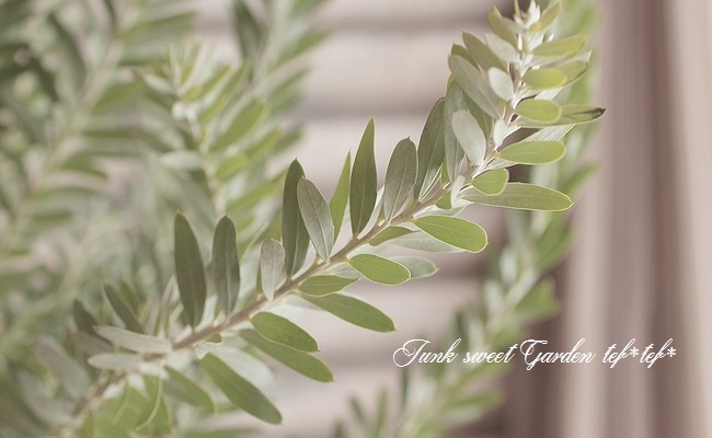 ���ե����������إ֥롼�֥å����