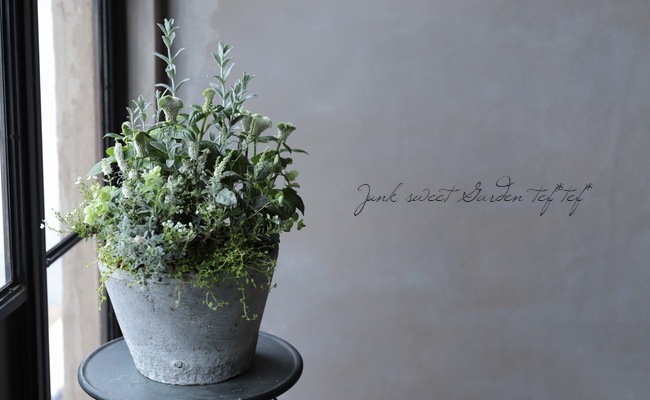 ������ɺ��٥��˥����إ��㡼���åȡ�