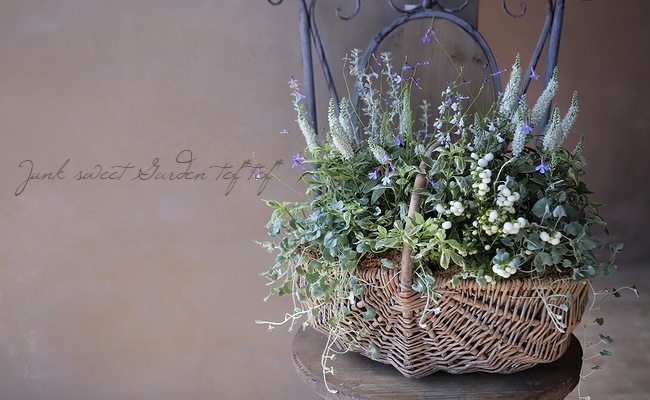 ������ɺ��٥��˥����إ��㡼���åȡ�