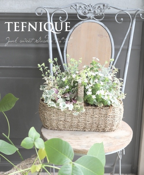 寄せ植え】-TEFNIQUE-寄せ植え 2021 * no.5 * 『夏の爽やかバスケット