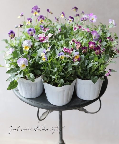 dora♡ Dora The Explorer Cartoon Character PNG