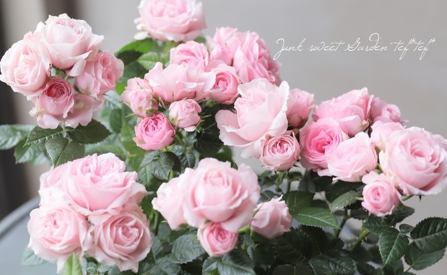 �ߥ˥Х顡�إС��ӡ�������ʡ�