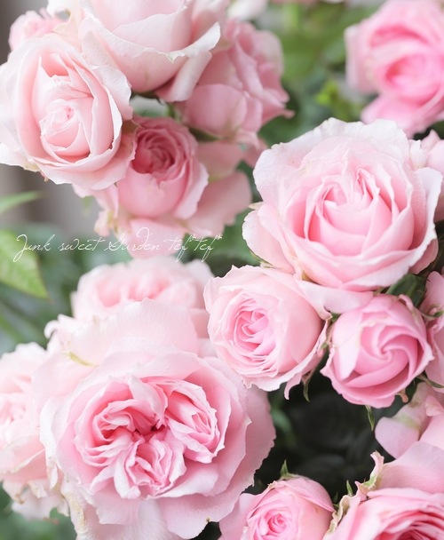 �ߥ˥Х顡�إС��ӡ�������ʡ�