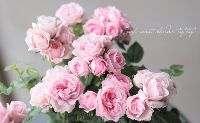 �ߥ˥Х顡�إС��ӡ�������ʡ�