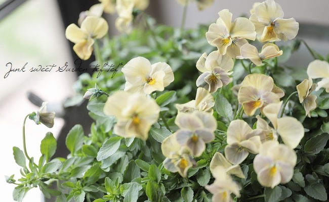 �������व��Υӥ��顦������  �ؤ��ܤ����