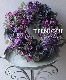 ڴ󤻿 -TEFNIQUE-󤻿꡼ 2024 * no.13 *ߥå٥꡼ΥꥹޥȢ
