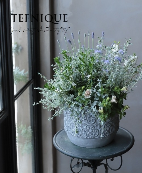 TEFNIQUE-寄せ植え 2019 * no.58 * 『ふんわり爽やか♪』 | 寄せ植え