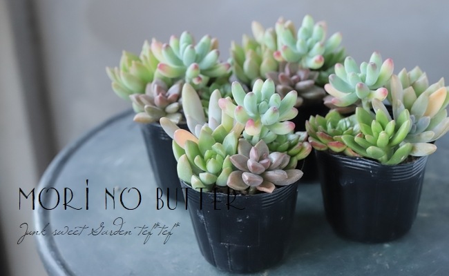 ��¿����ʪ�ۡ��ؤפ��פ��ߥå��������١���A�����סۡ�