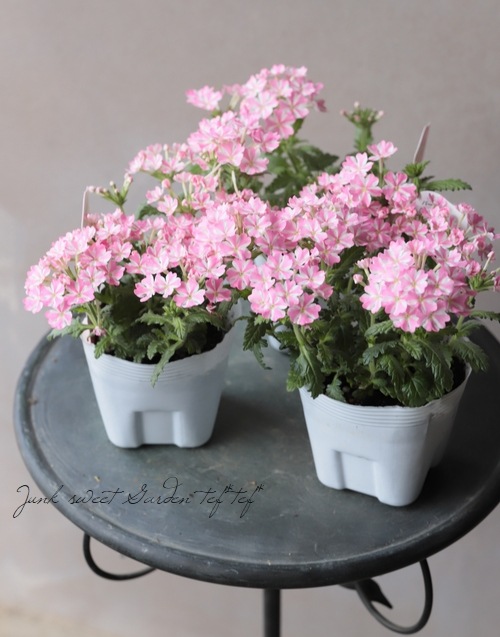 �ɺ��С��٥ʡ��غ���������