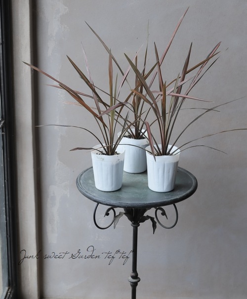 コルジリネ 『コーヒークラシック』 | すべての商品 | | Junk sweet