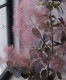 ⡼ĥ꡼إ쥤 136
