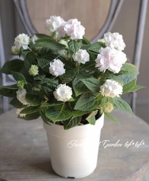 �ڵȲ���Ҥ���ۡ������۲֡��ؤ���ϡ١�