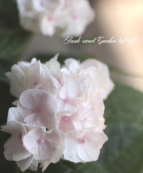 �ڵȲ���Ҥ���ۡ������۲֡��ؤ���ϡ١�