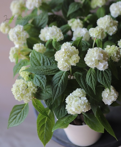 �ڵȲ���Ҥ���ۡ������۲֡��ؤ���ϡ١�