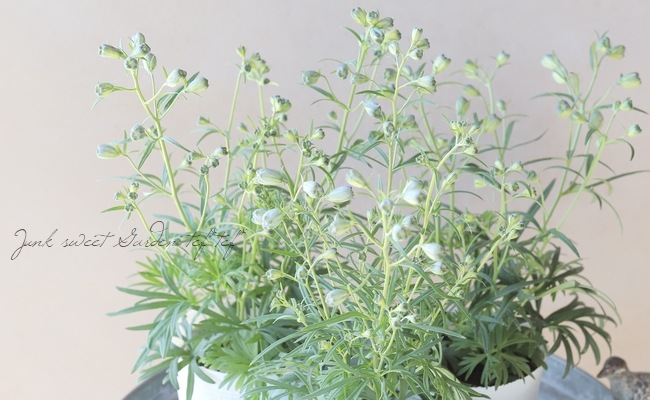 �ǥ�ե��˥��ࡡ�إ������饤�ȥ֥롼��