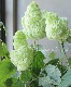 ���ջ��۲֡�����ѥ����ʼ�إϡ���ˡ���
