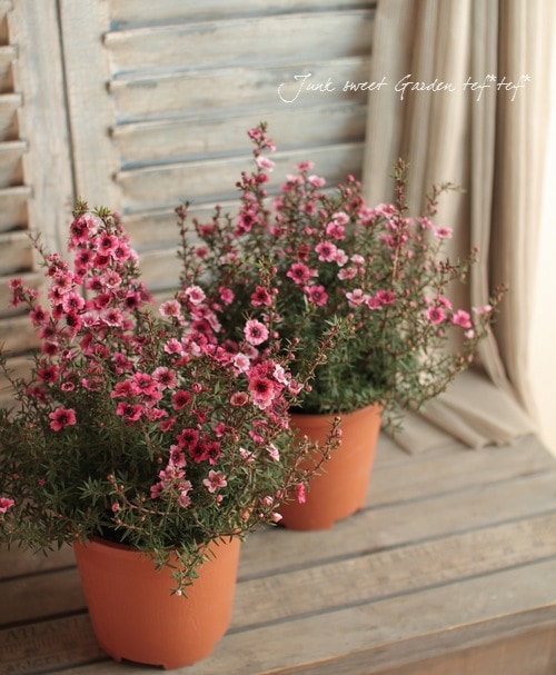 �����˶������в��ڡ�<BR>�إ����奦�Х���5��ȭ