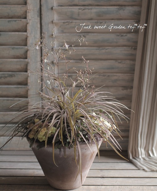 ץƥͥ顡إץåĥ֥å