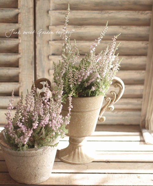 ���롼�ʡ��֥륬�ꥹ���إ���С��١���No.D��