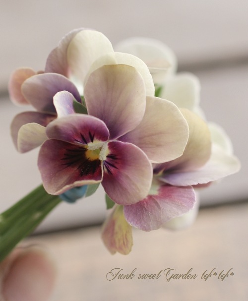 ߤȥӥ顦΢ʼMr.˥å