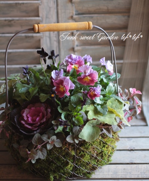 ڻߡۥ磻䡼Хåȡ롦M